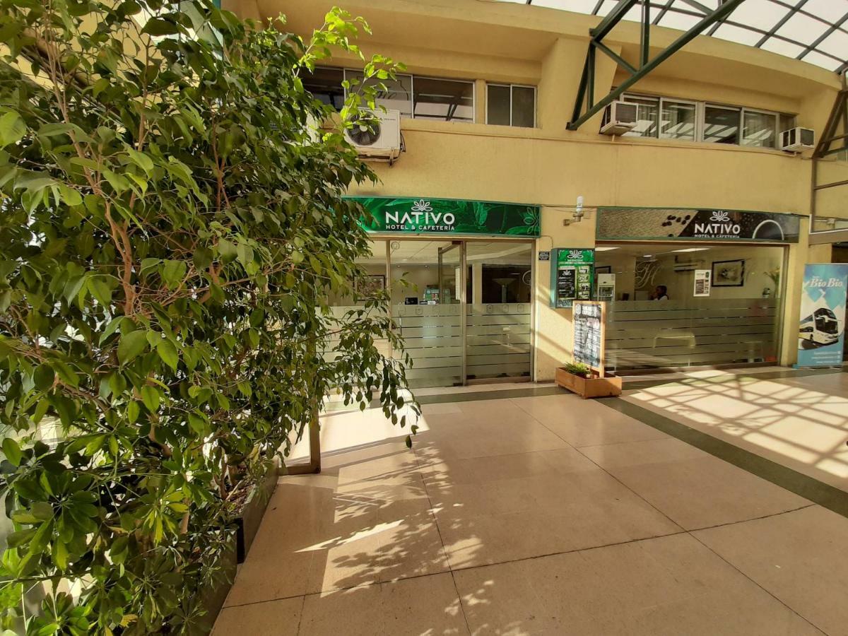 Nativo Hotel Y Cafeteria Talca  Kültér fotó